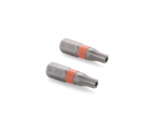 Біти S2 T-25×25 мм Tamper, 2шт Sturm 1274304 Біти S2 T-25×25 мм Tamper, 2шт Sturm 1274304