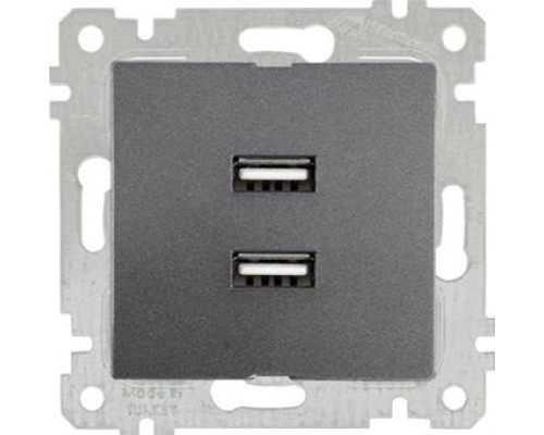 Механізм розетки 2гн USB горизонтальної, RITA, Mutlusan, "графіт", (2200 449 0195)