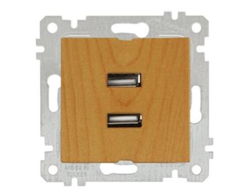 Механізм розетки 2гн USB горизонтальної, RITA, Mutlusan, "дуб", (2200 449 0158) Механізм розетки 2гн USB горизонтальної, RITA, Mutlusan, "дуб", (2200 449 0158)