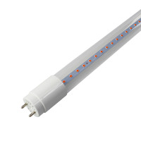 Фітолампа лінійна Т8 LED Velmax V-T8-Fito, 9W, 600мм, G13, Full spectrum Фітолампа лінійна Т8 LED Velmax V-T8-Fito, 9W, 600мм, G13, Full spectrum