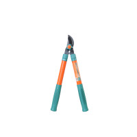 Гілкоріз садовий, телескоп. Sturmax 3015M-01-01L
